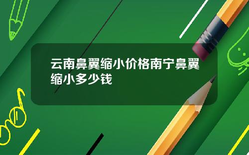 云南鼻翼缩小价格南宁鼻翼缩小多少钱