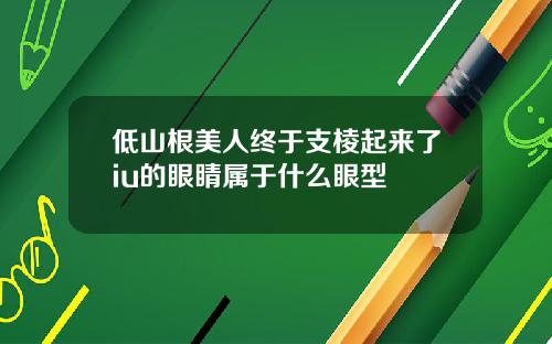 低山根美人终于支棱起来了iu的眼睛属于什么眼型