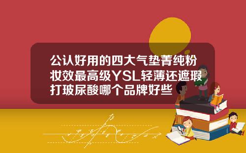 公认好用的四大气垫菁纯粉妆效最高级YSL轻薄还遮瑕打玻尿酸哪个品牌好些