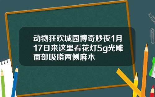 动物狂欢城园博奇妙夜1月17日来这里看花灯5g光雕面部吸脂两侧麻木