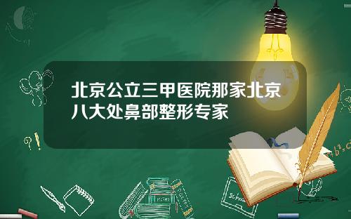 北京公立三甲医院那家北京八大处鼻部整形专家