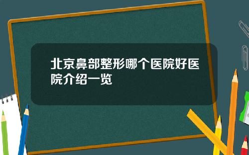 北京鼻部整形哪个医院好医院介绍一览