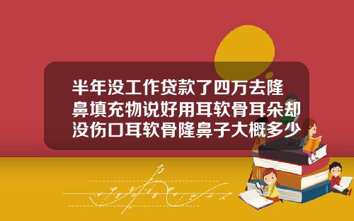 半年没工作贷款了四万去隆鼻填充物说好用耳软骨耳朵却没伤口耳软骨隆鼻子大概多少钱