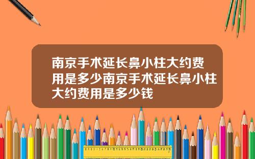 南京手术延长鼻小柱大约费用是多少南京手术延长鼻小柱大约费用是多少钱