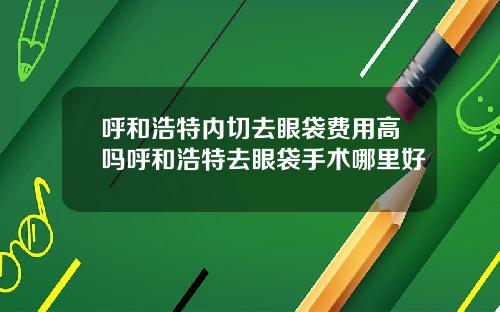 呼和浩特内切去眼袋费用高吗呼和浩特去眼袋手术哪里好