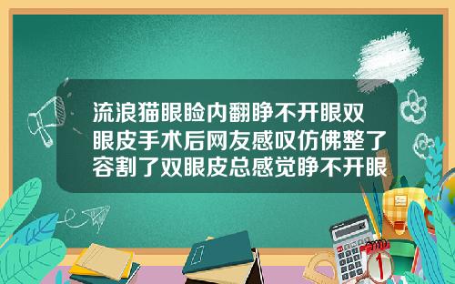 流浪猫眼睑内翻睁不开眼双眼皮手术后网友感叹仿佛整了容割了双眼皮总感觉睁不开眼